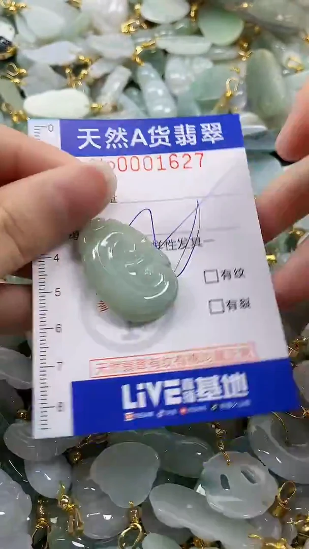 颈饰未镶嵌翡翠纯天然货a翡翠