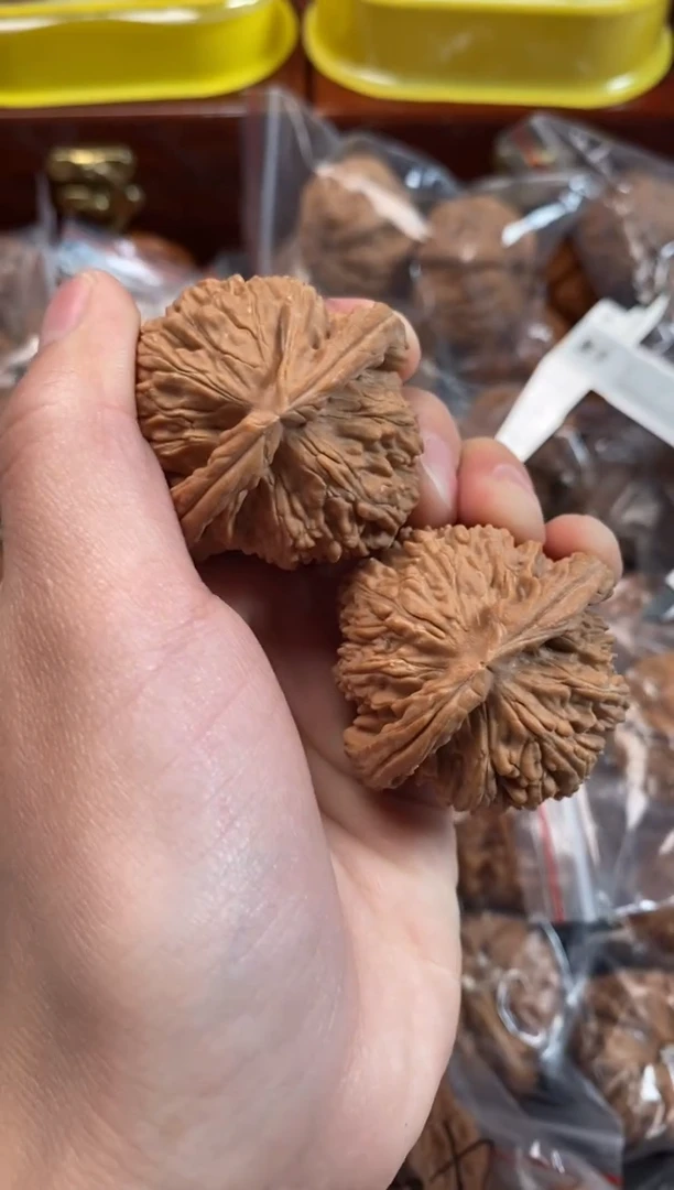 把件文玩核桃白狮子42尺x106