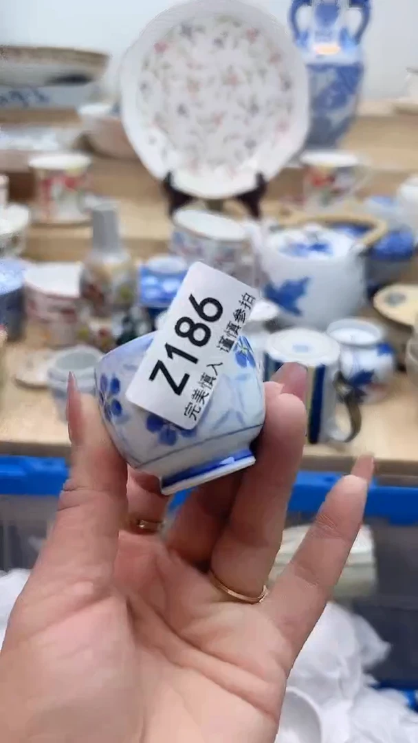 【闪购商品】瓷片186