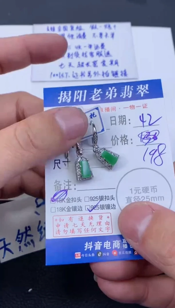 【闪购商品】翡翠颈饰银S925镶嵌多样性发其中一件