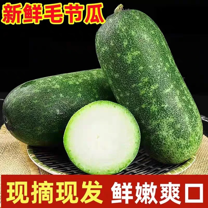 【迷你小冬瓜】新鲜采摘冬瓜迷你小冬瓜夏季抱着睡觉的冬瓜青皮冬瓜