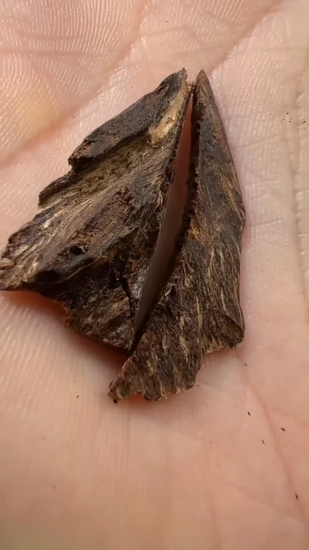 手把件沉香1.6g缅甸密支那沉水