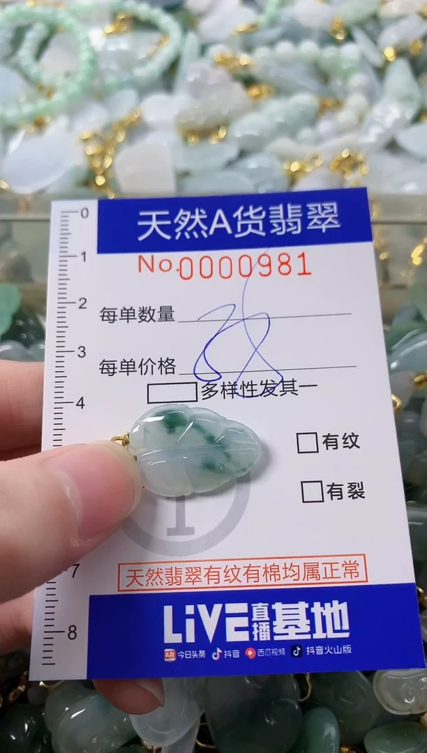 颈饰未镶嵌翡翠N***✨天然A货翡翠