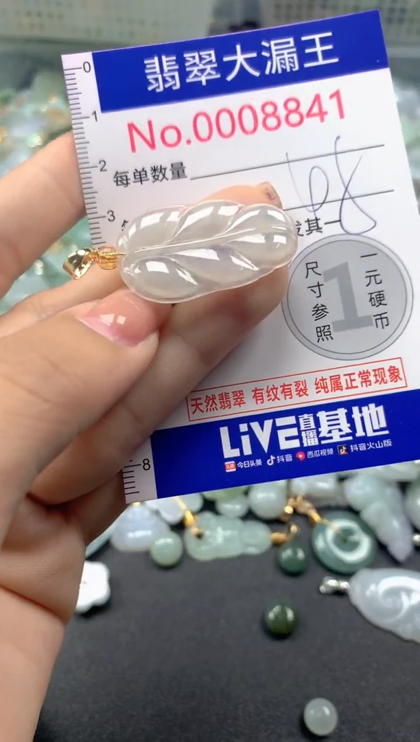 颈饰未镶嵌翡翠8841