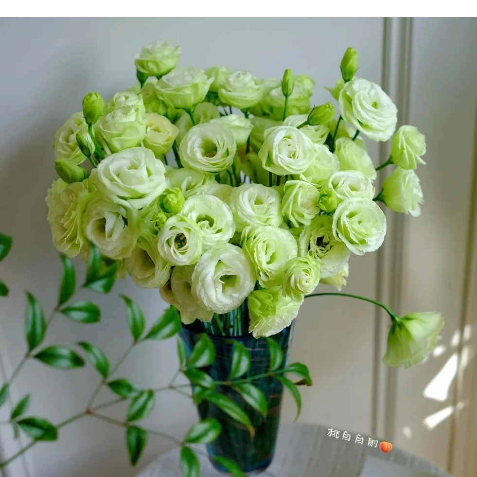 【绿色洋桔梗400g】鲜花次日达批发直播品质鲜花 全场任意满两单鲜花顺丰包邮