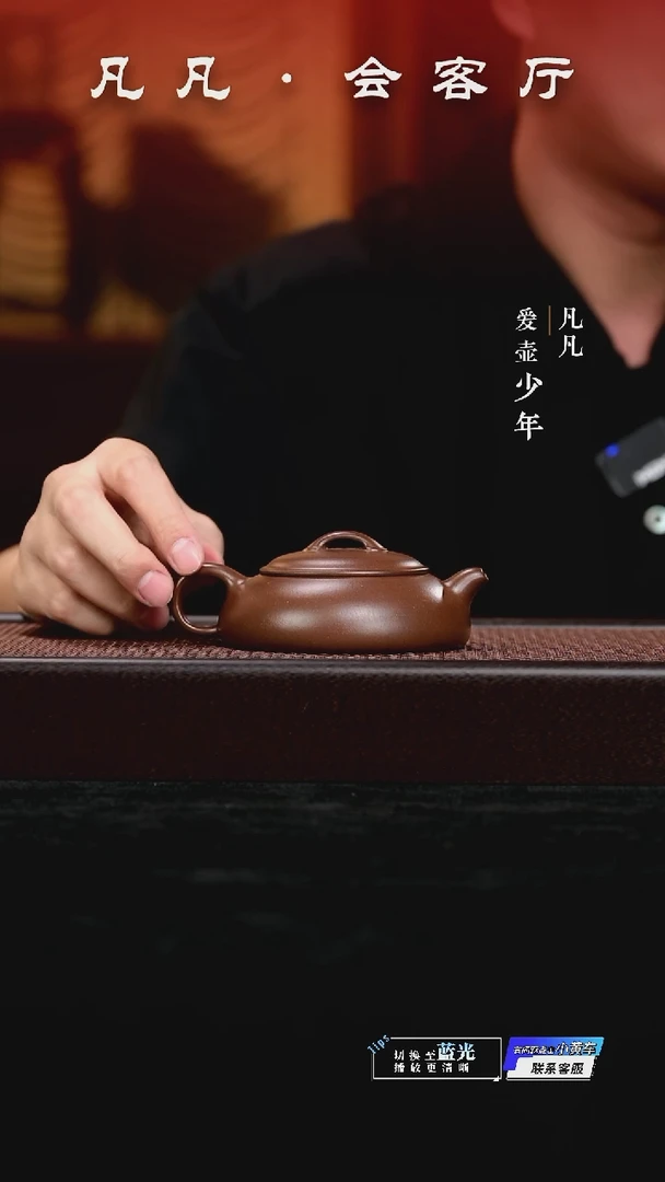 凡凡会客厅 潘俊昌紫砂壶24 无尘紫泥160cc