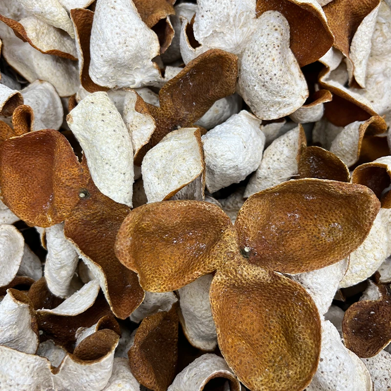 2024年 天马产区 大红皮