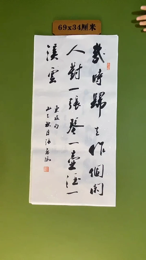 书法书法 张若鸿 尺寸69cm*34cm