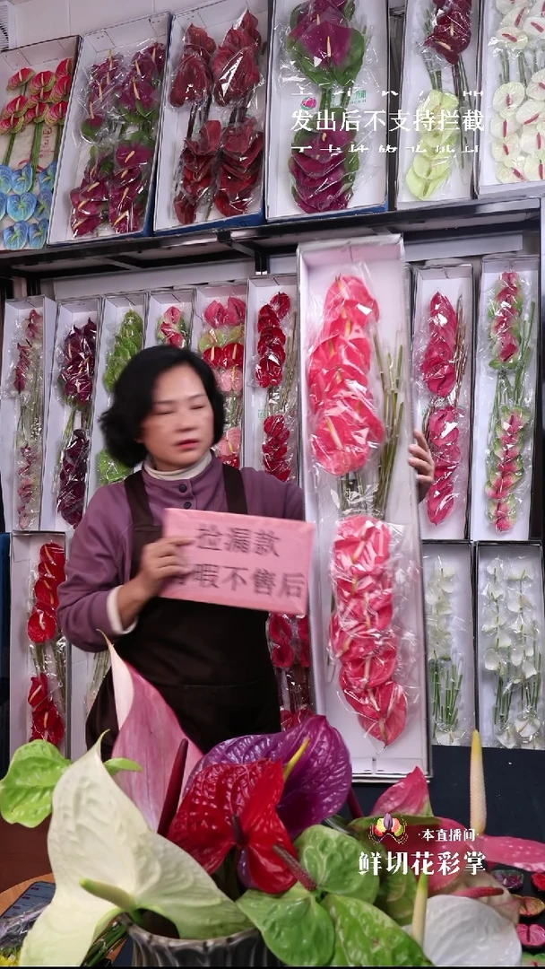 玫瑰12枝(长30-40cm横冠幅10-12cm)有瑕福利不退不换不售后