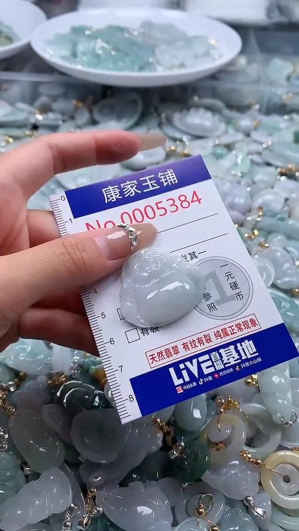 翡翠未镶嵌吊坠(不含链)5384