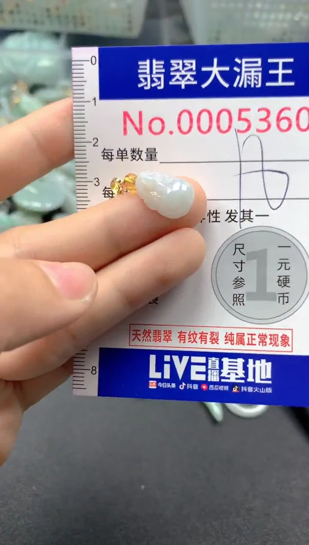 颈饰未镶嵌翡翠5360