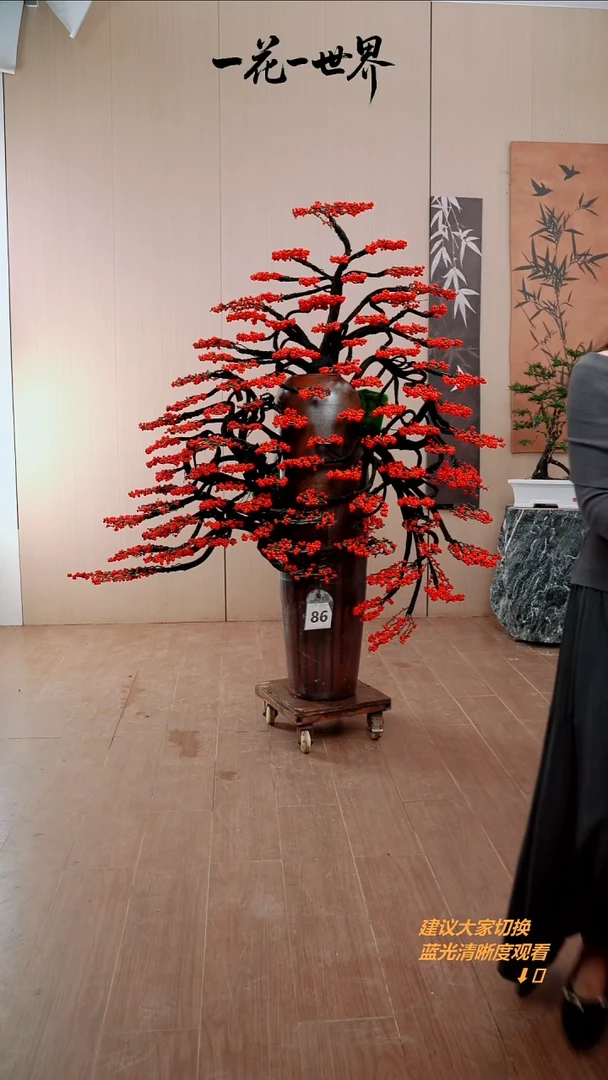 完全开放陈*拉冬青