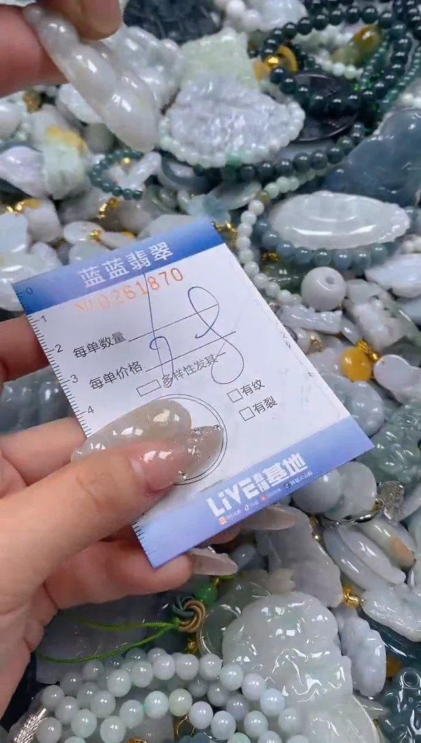 翡翠未镶嵌颈饰闪购0261870多样性发其一