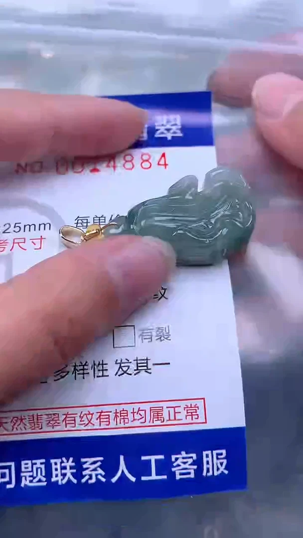 翡翠未镶嵌吊坠(不含链)1