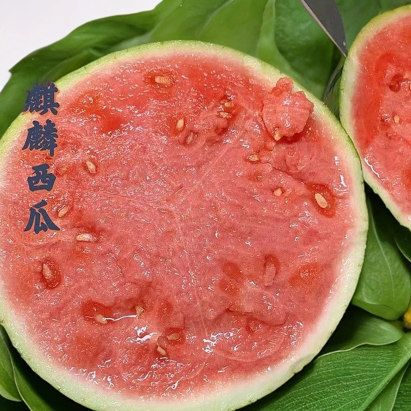 【整果】冰糖麒麟西瓜1个约7-8斤左右西瓜同城配