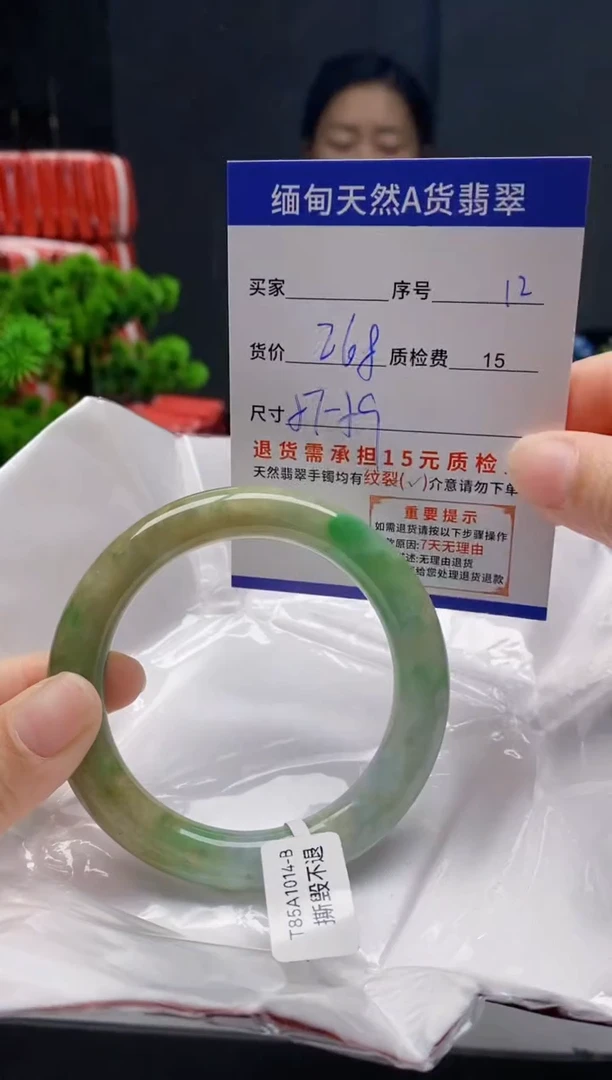 未镶嵌手镯翡翠12缅甸天然A货翡翠需包容瑕疵，介意慎拍