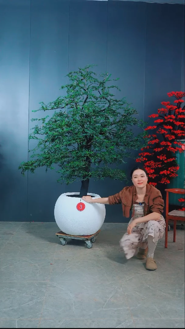 无花朵神**宾广东小叶紫檀.03号