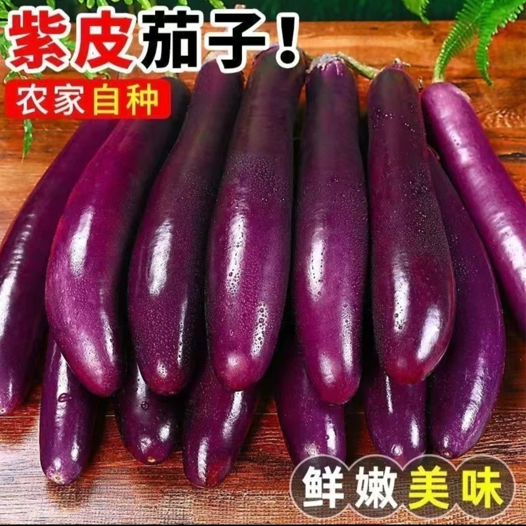 长条茄王 回购率高 420g±20g（茄子）