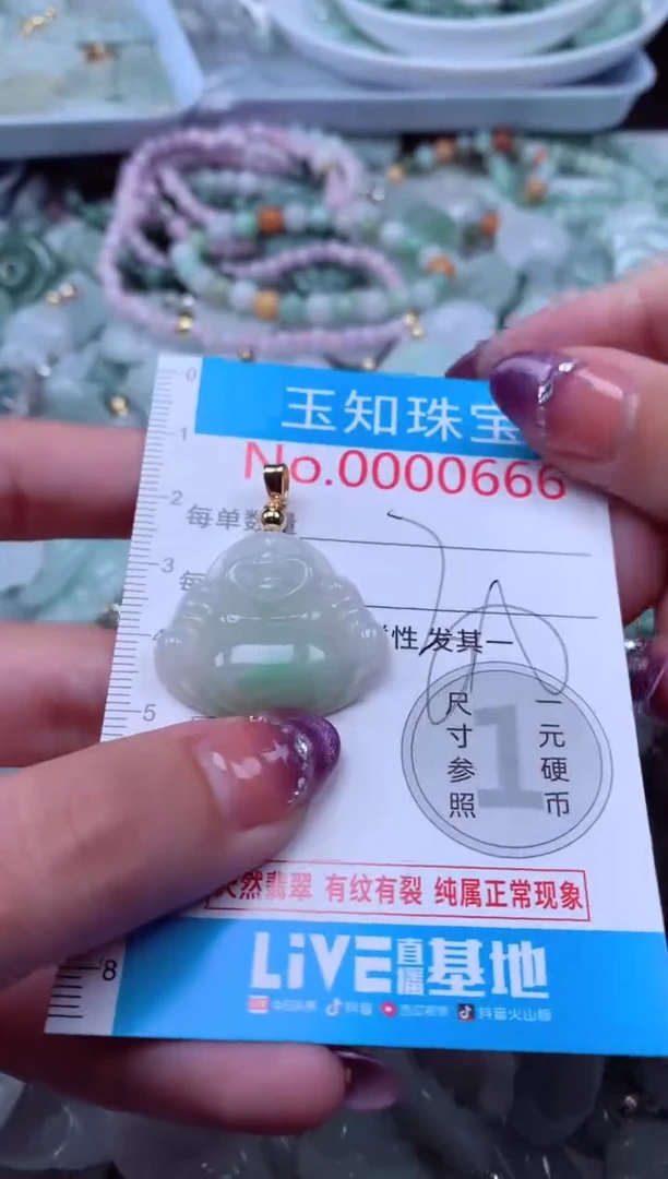 翡翠未镶嵌吊坠(不含链)666