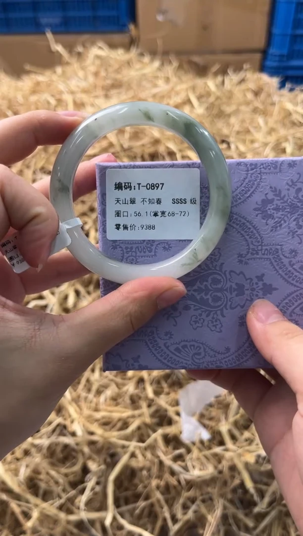 未镶嵌手镯石英质玉T-0897