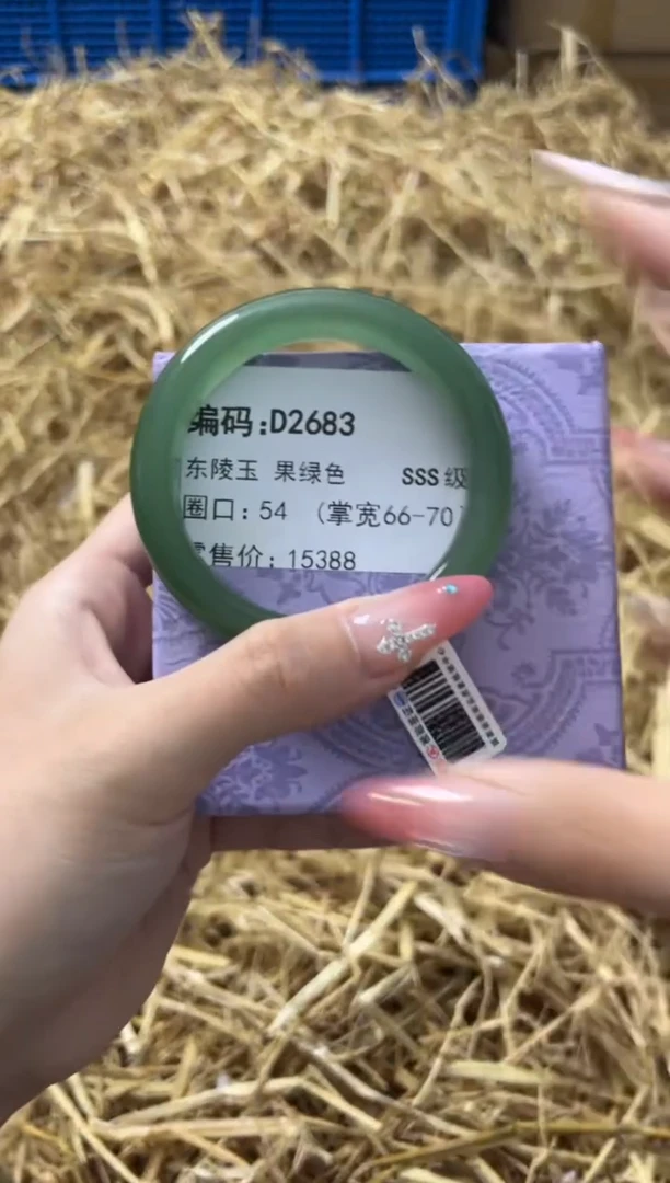 未镶嵌手镯石英质玉D2683