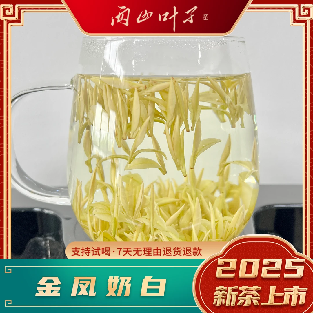 两山叶子【金凤奶白】2025皇金芽新茶正宗浓郁奶香夏季冷泡款