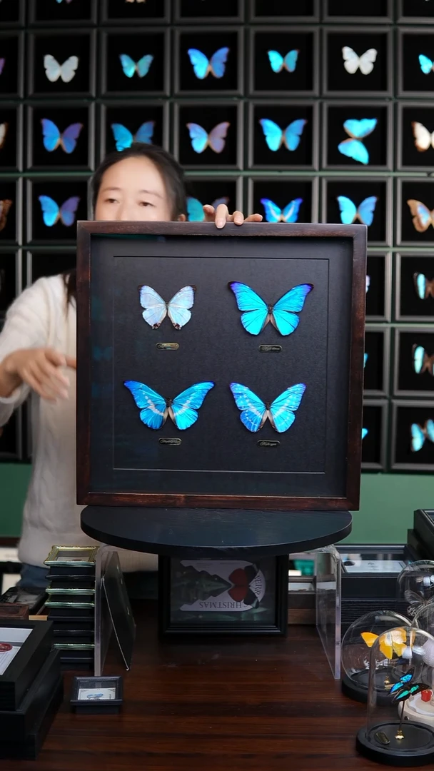 四大美蝶组合香樟木框