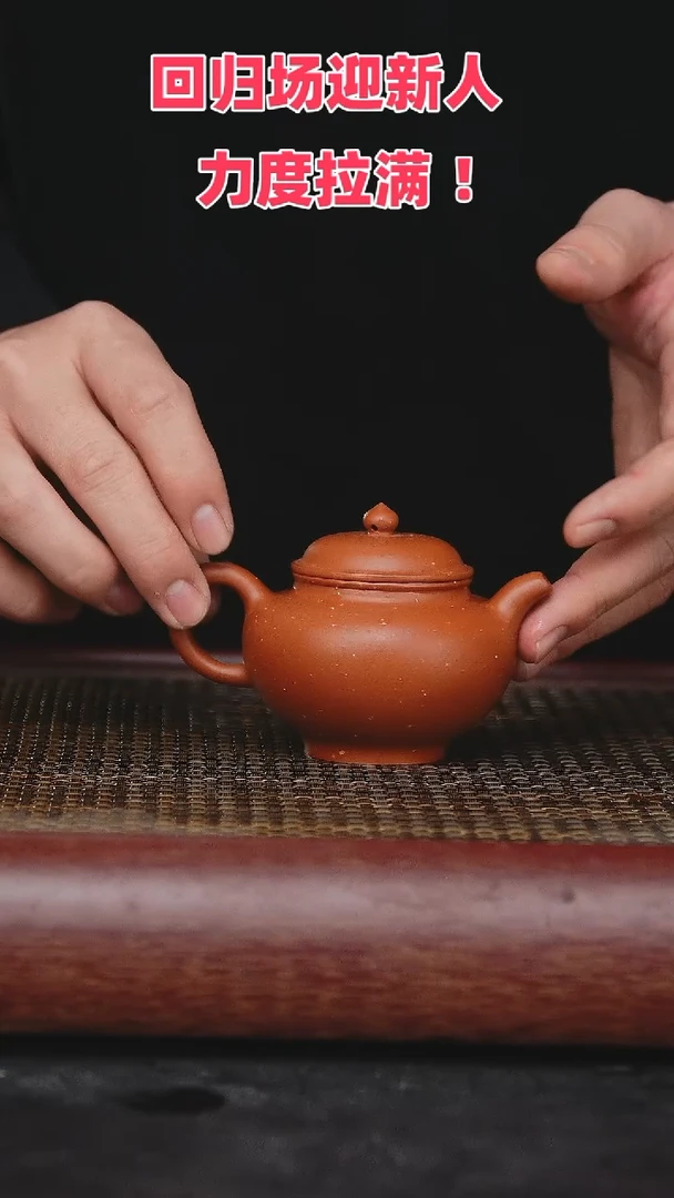 【闪购商品】紫砂茶壶紫砂茶壶