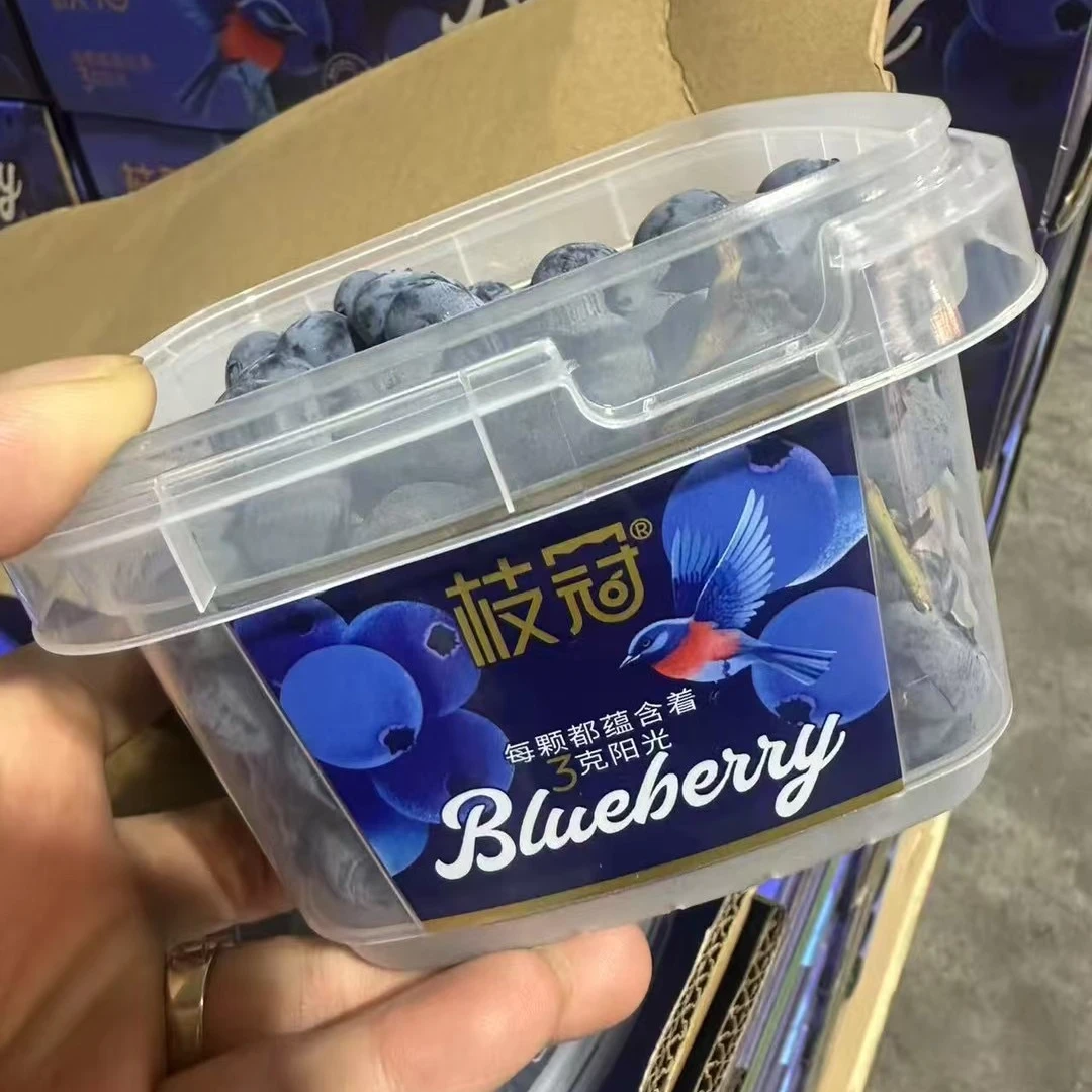 云南超甜枝冠串串蓝莓应季水果特大超甜蓝莓同城送云南省