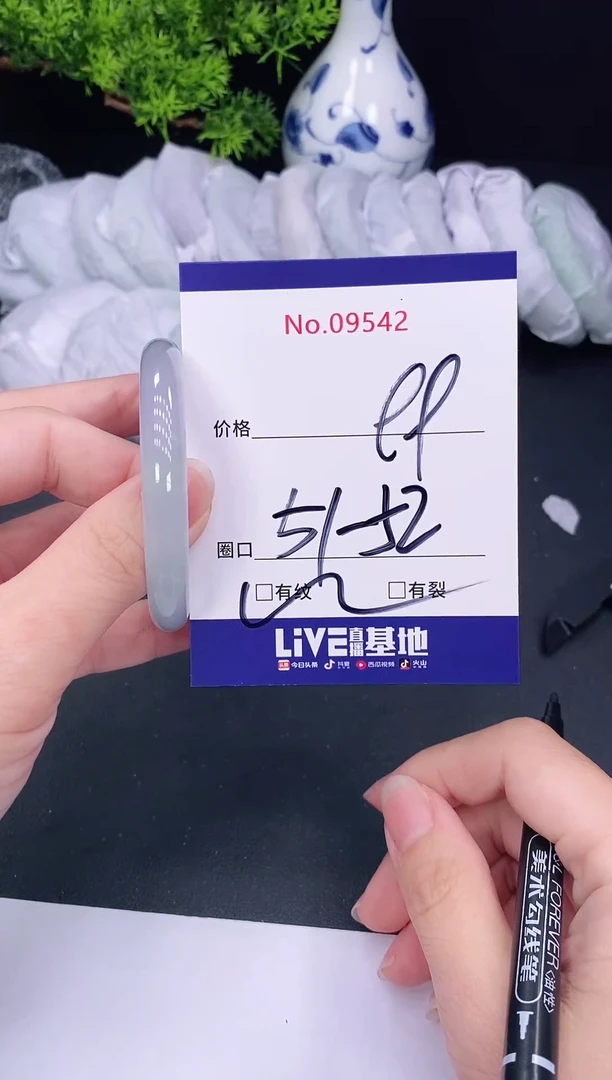 未镶嵌手镯翡翠9542