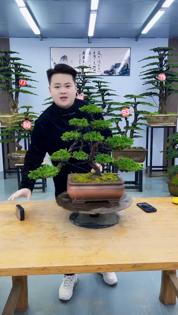 以实际为准00000