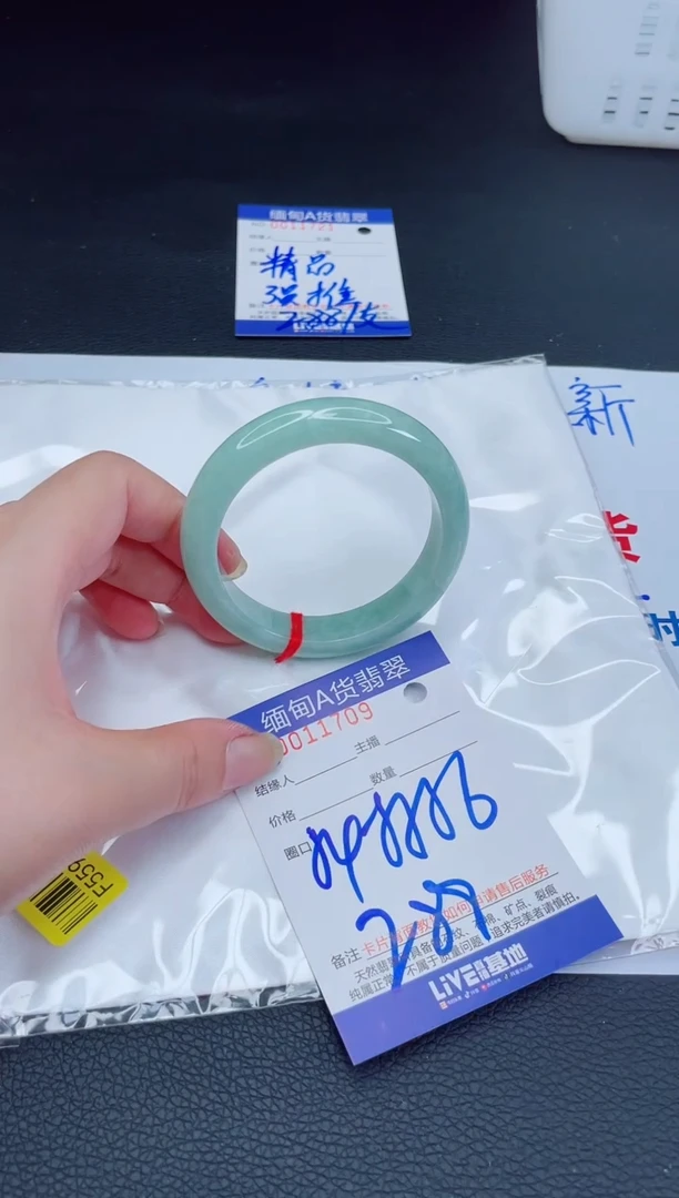 未镶嵌手镯翡翠我t1