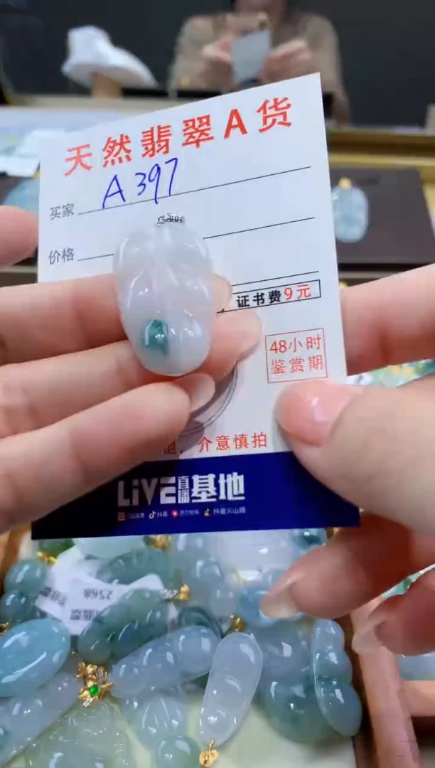 颈饰未镶嵌翡翠天然翡翠A货挂件