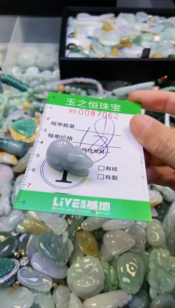 翡翠未镶嵌颈饰闪购0087062