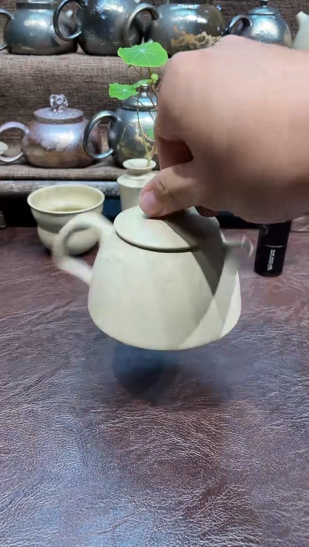 泥塑王宇白泥秦权壶190cc