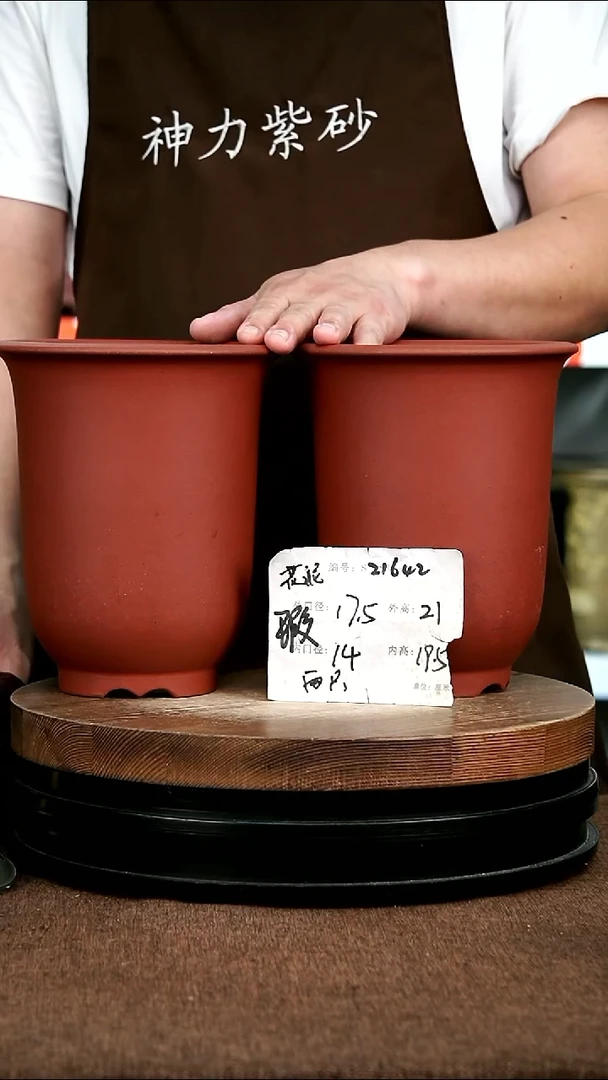 紫砂花盆花卉园艺21642