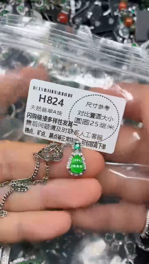 颈饰未镶嵌翡翠H824项链