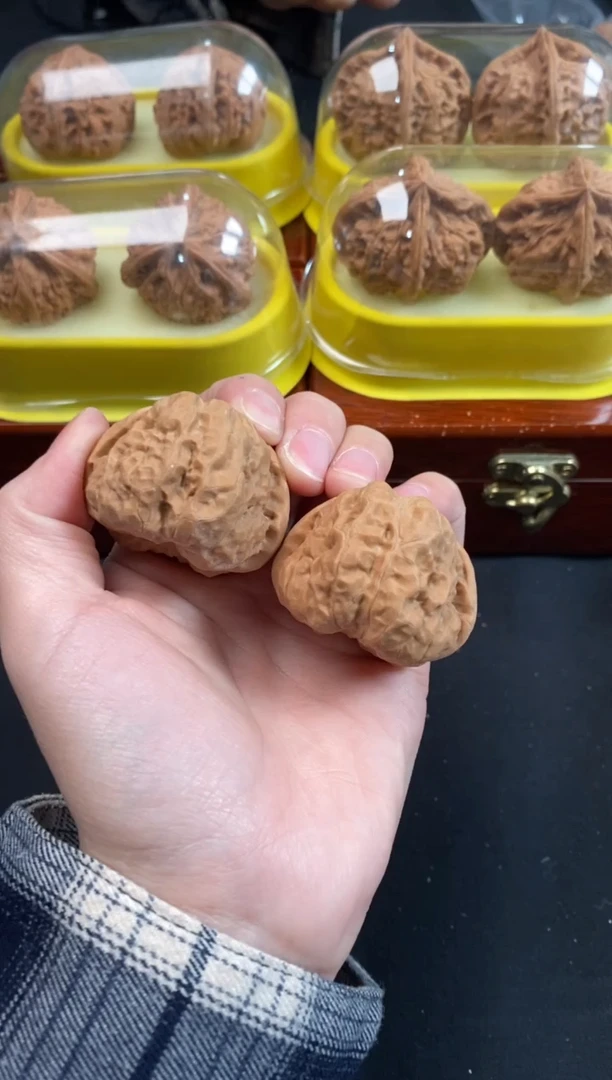 核桃蛤蟆头40尺Q659