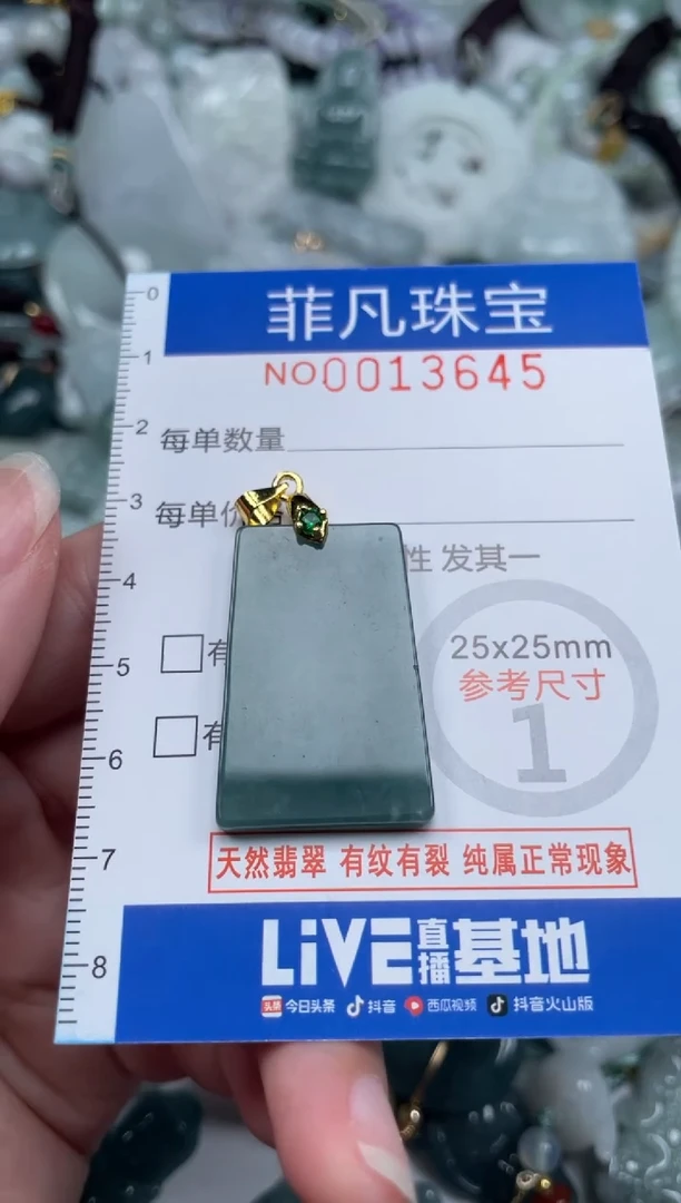颈饰未镶嵌翡翠13645