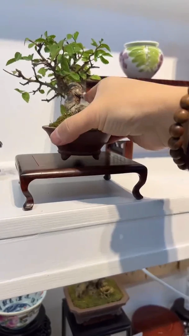 紫砂1紫砂紫砂紫砂紫砂紫砂底座