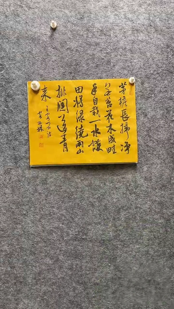 书法安世林老师书画精品斗方34*27