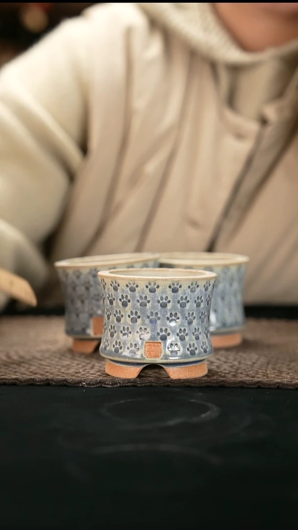 口径6花盆-12-28-525特默认有瑕