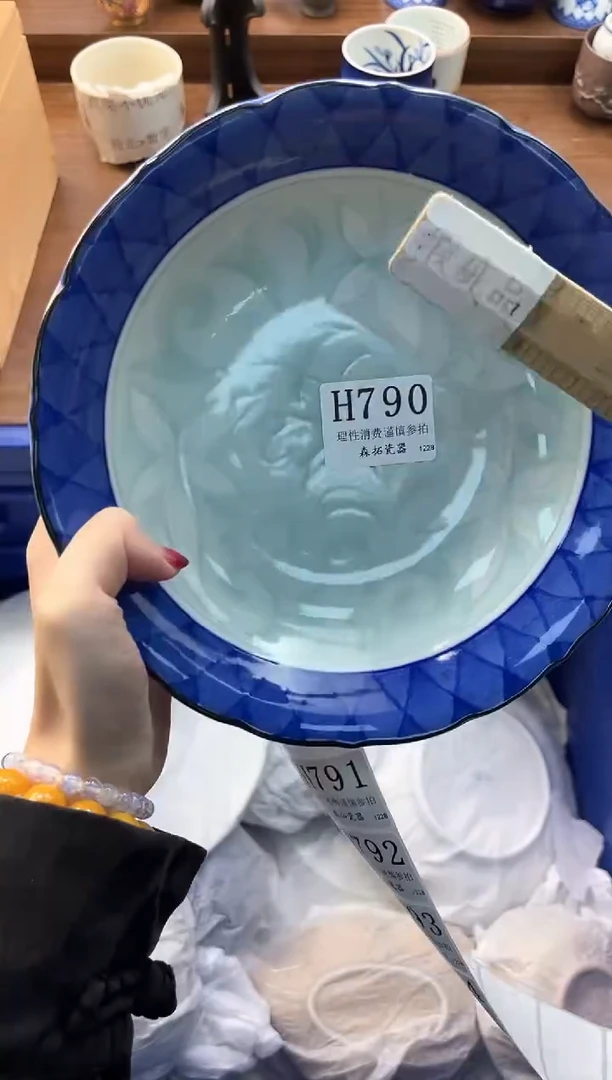 【闪购商品】瓷片----------H790