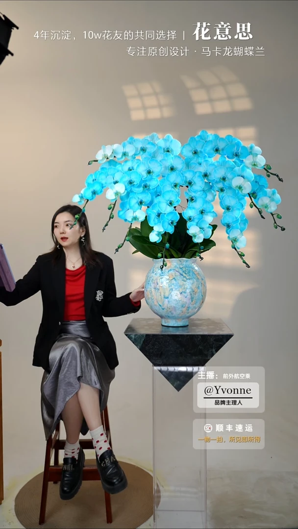 全部花朵025一物一拍蝴蝶兰艺术盆景