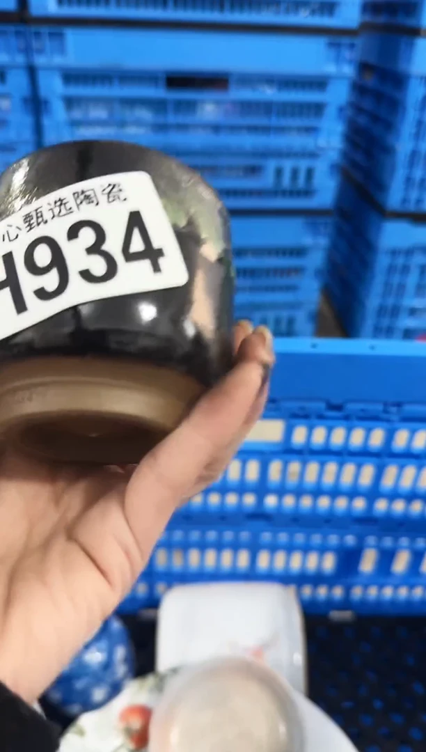 瓷片苗*宝         H934