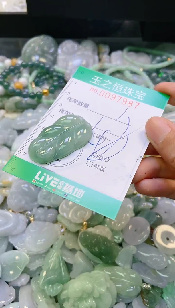 翡翠未镶嵌颈饰闪购0097987