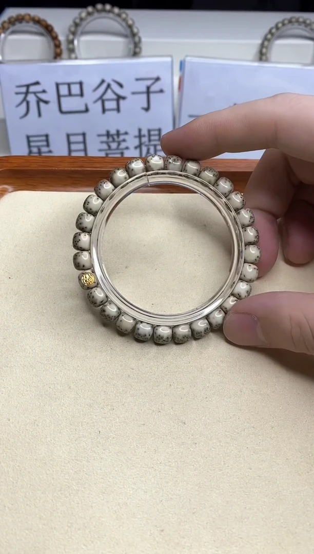 手串星月菩提 118 --19