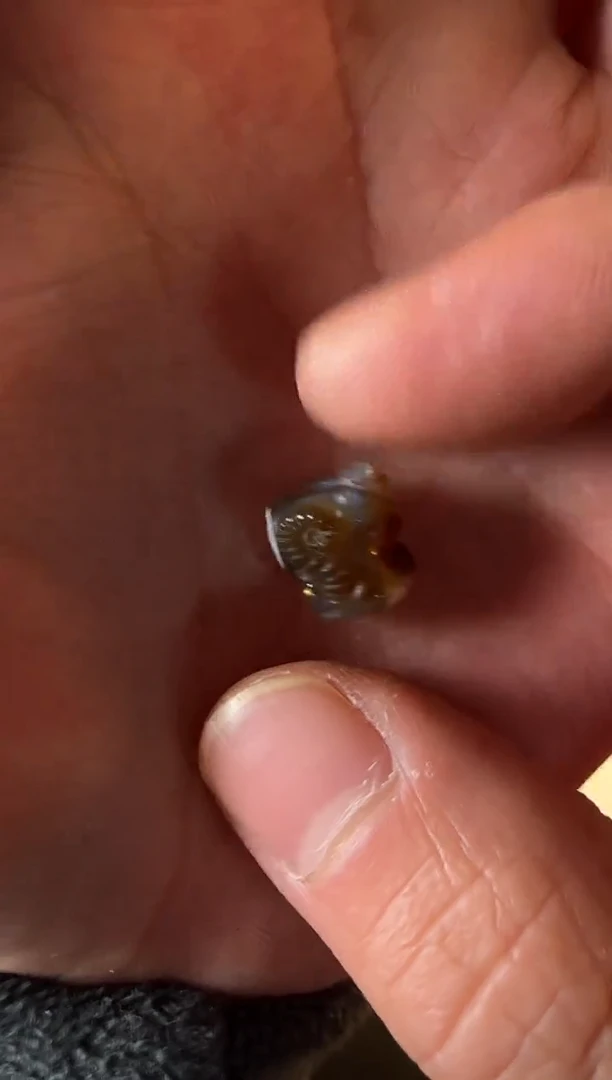 吊坠猴头核桃16号