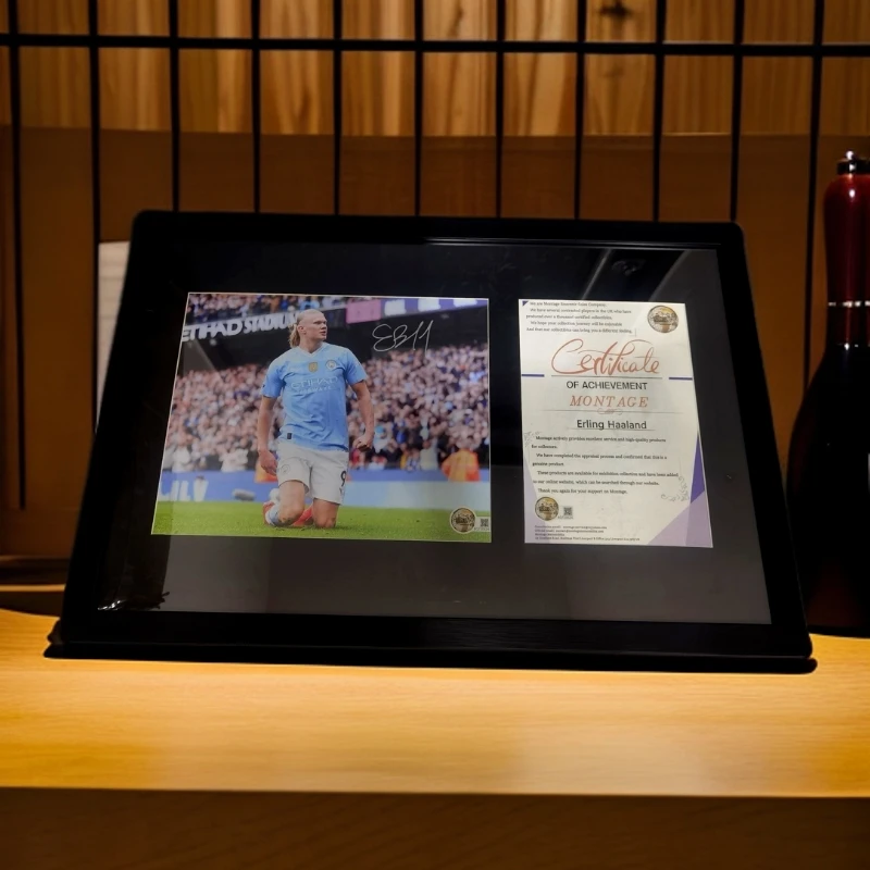 Peader Rabbit/皮达兔哈兰德 足球明星收藏海报