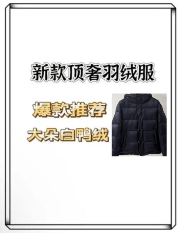 CJ【11号链接】2025年新款高奢男女原单品质羽绒服连帽系列26055